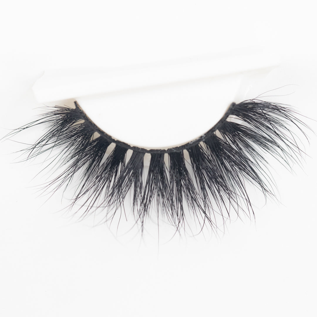 MONEY Lash