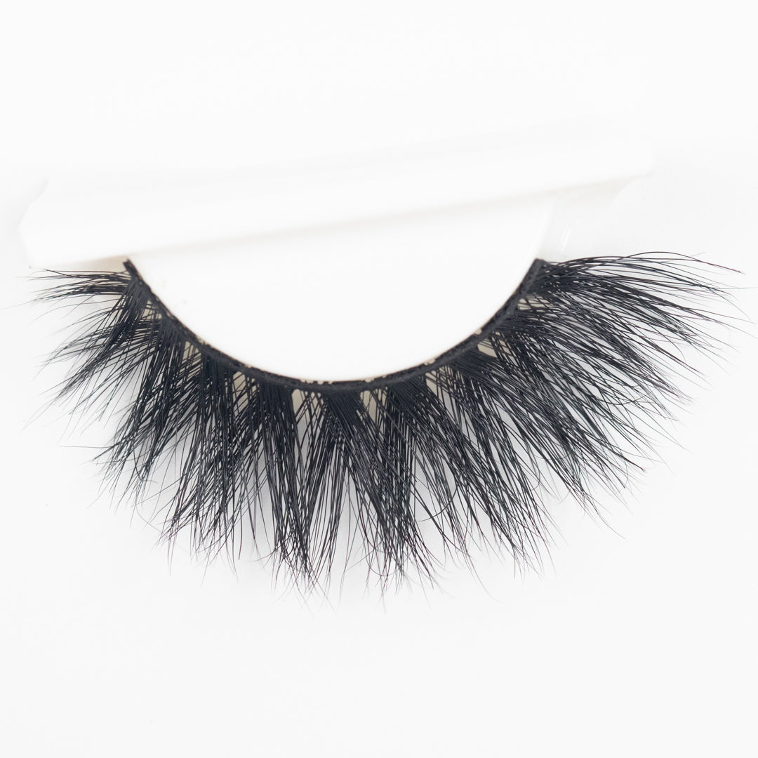 JOSIE Lash