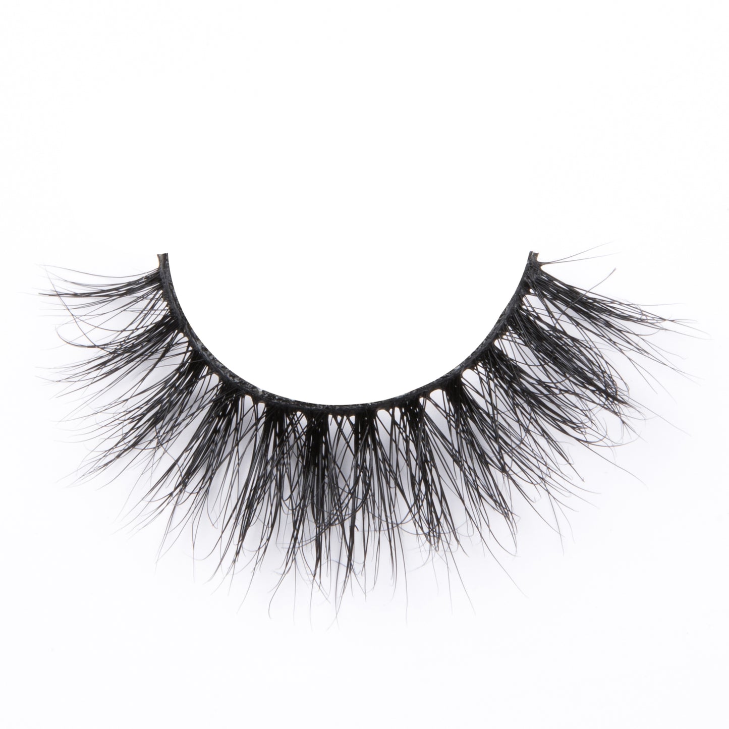 DOLLY Lash