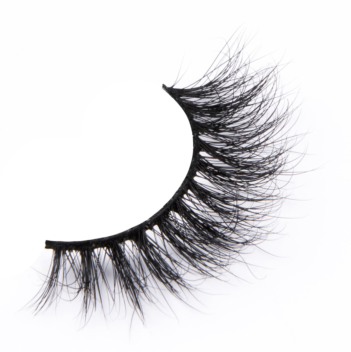DOLLY Lash